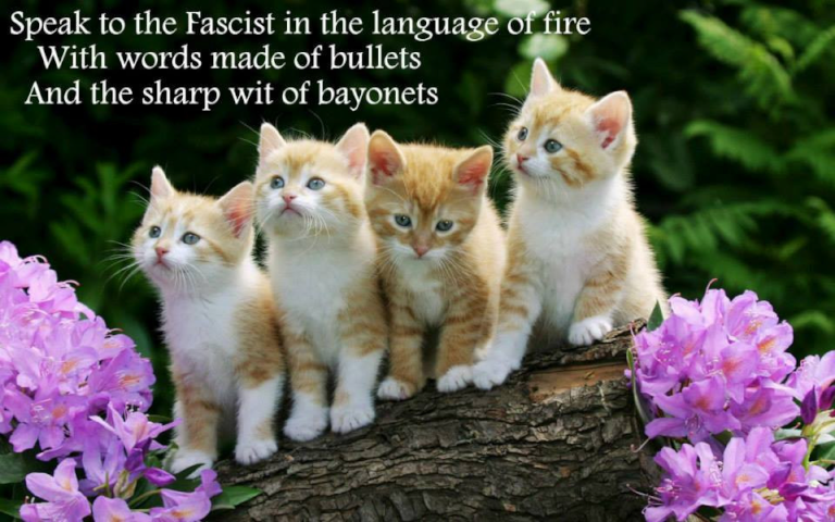 An picture of 4 kittens sitting on a log between 2 bunches of purple flowers. On the image is the text "Speak to the Fascist in the language of fire with words made of bullets and the sharp wit of bayonets."