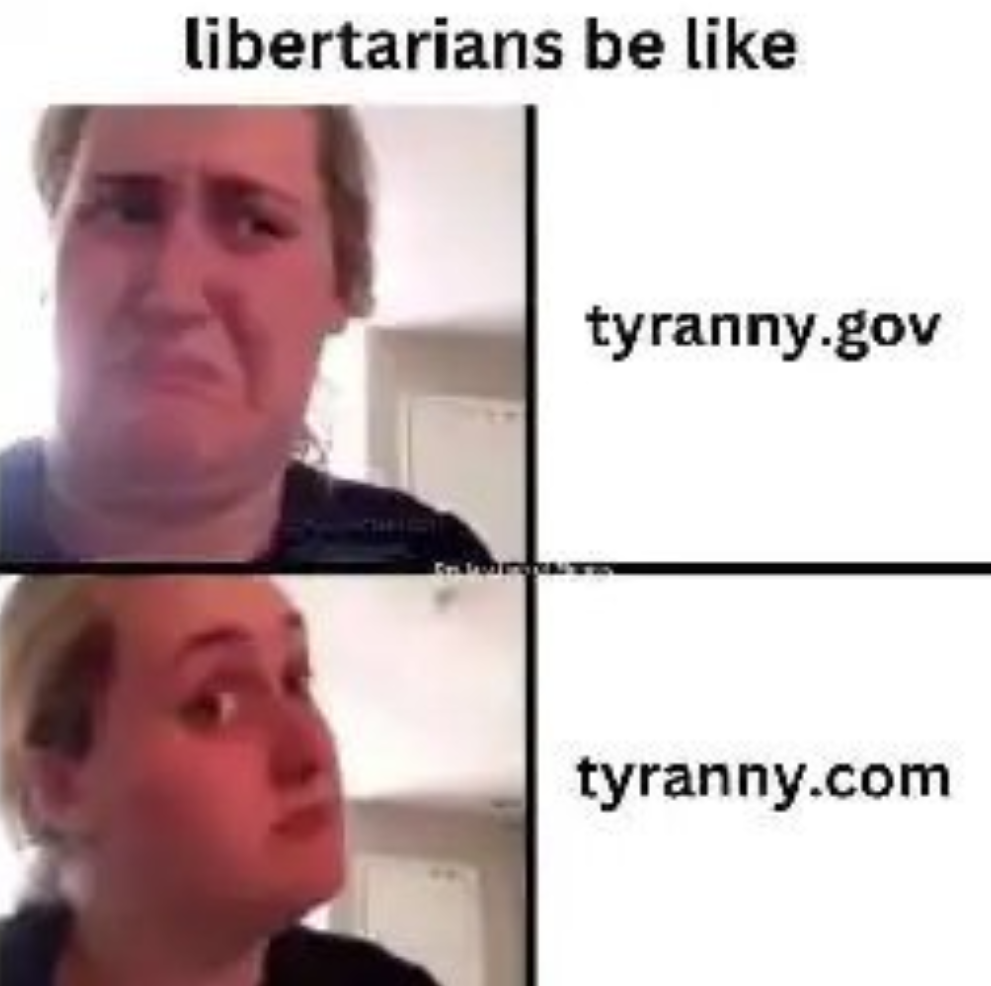 title text "Libertarians be like:" above 2-panel "Kombucha Girl" meme format, disgusted face next to "tyranny.gov", reconsidering face next to "tyranny.com"